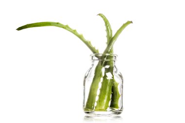 Stüdyo çekim üzerinde beyaz izole cam kesme aloe vera yaprakların