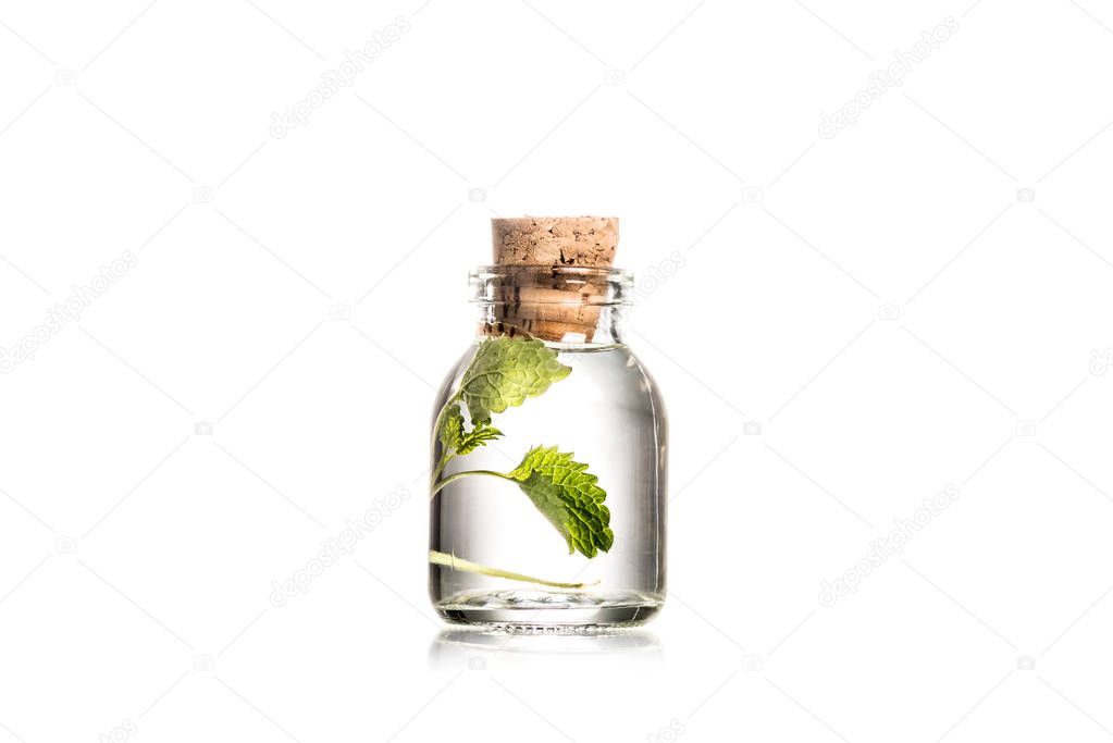 Studio shot of glass bottle with mint leaves isolated on white