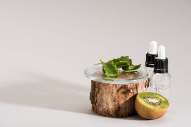 Aloe vera stüdyo çekim yaprakları, kivi ve serum şişeleri kesmek