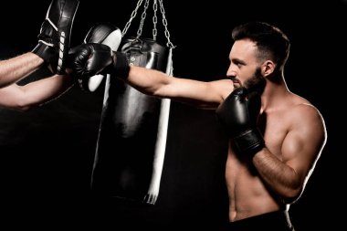 muscular boxer fighting with man in punching gloves isolated on black clipart