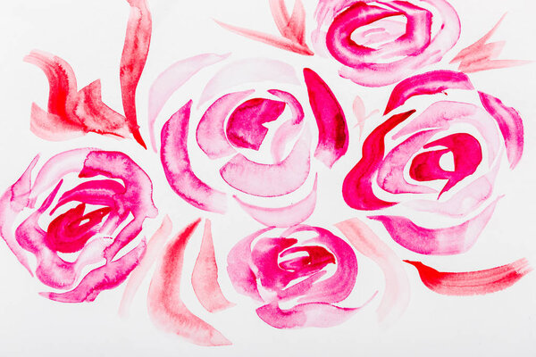 Top view of pink watercolor roses on white background 