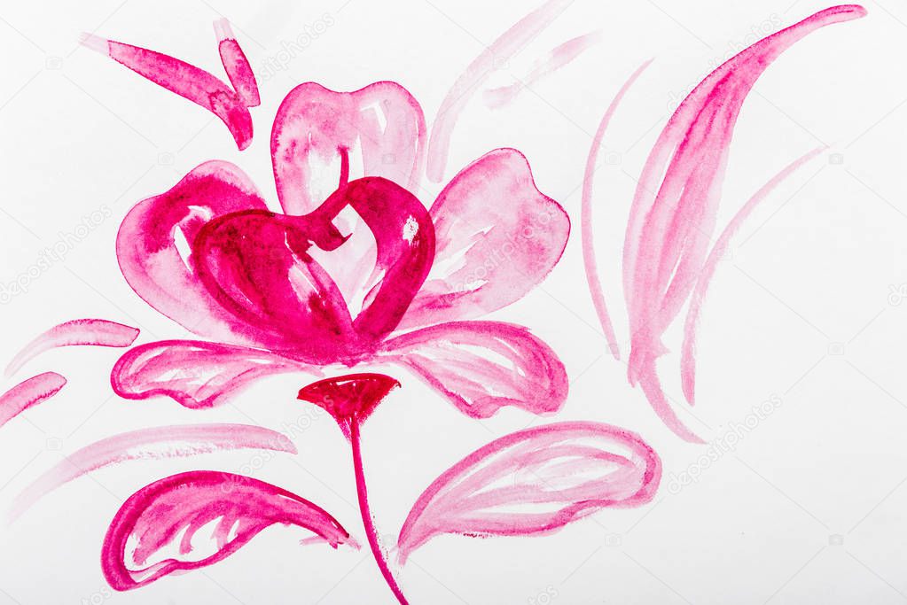 Top view of pink watercolor flower on white background 