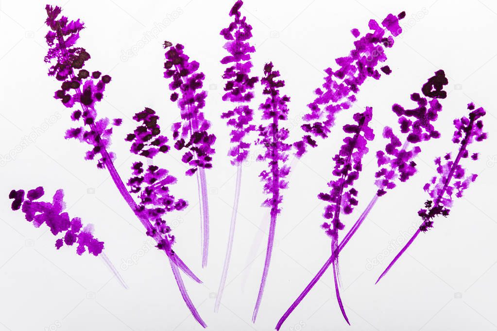 Top view of purple watercolor flowers on white background 