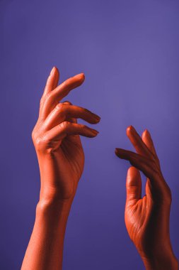 cropped view of coral colored female hands on violet background, color of 2019 concept clipart
