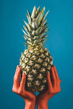 Olgun ananas meyve mercan içinde tutan kadın kısmi görünümünü mavi arka plan, renk 2019 kavramının ellerinde renkli
