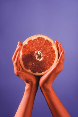 partial view of woman holding cut grapefruit in coral colored hands on blue background, color of 2019 concept clipart
