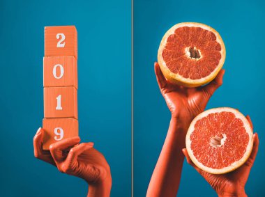 collage with wooden cubes with 2019 numbers and grapefruit halves in coral colored female hands on blue separated background, color of 2019 concept clipart