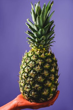 Kırpılan görünümünü olgun ananas üzerinde mavi arka plan, renk 2019 kavramının mercan renkli elinde tutan kadın