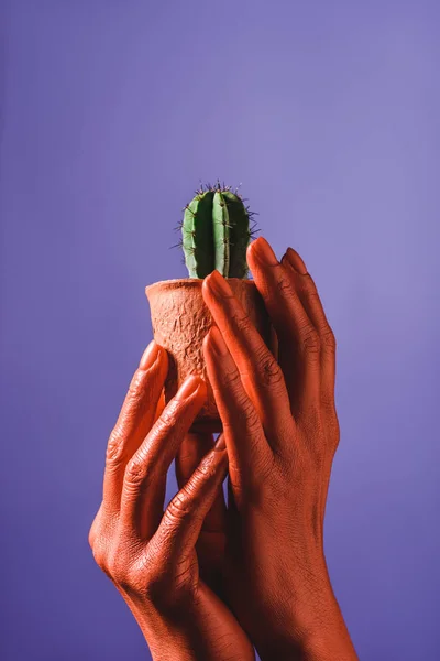 Visão Parcial Mulher Com Mãos Coloridas Coral Segurando Vaso Flores — Fotografia de Stock