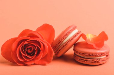mercan gül çiçek ve lezzetli macarons mercan arka plan rengini 2019 kavramı üzerinde
