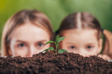 seçici odak kadın ve kız Genç büyüyen bitki bulanık arka planda, dünya gün kavramı