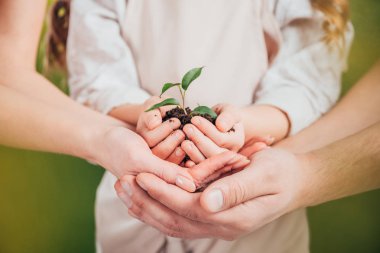 seçici odak adam, kadın ve çocuk üzerinde tutan genç yeşil bitki bulanık arka plan, dünya gün kavramı