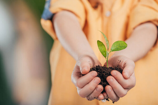 selective focus of child holding young plant on blurred background, earth day concept