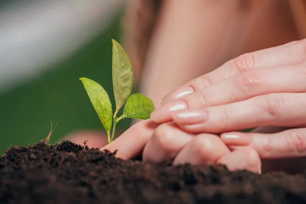 Foco Seletivo Mulheres Crianças Mãos Plantando Plantas Jovens Fundo Turvo — Fotografia de Stock