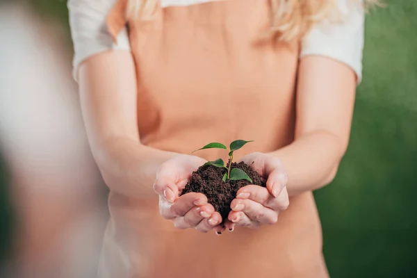 Selective Focus Woman Holding Young Green Plant Blurred Background Earth — Stock Photo, Image