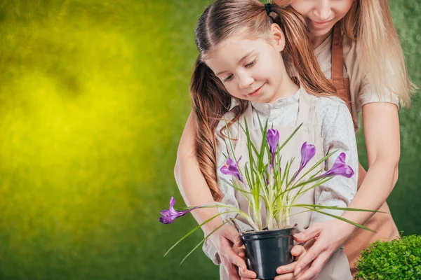Kvinna Och Barn Hålla Blomkruka Med Blommande Krokus Suddig Bakgrund — Stockfoto