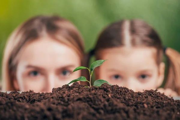 Selektiv Fokus För Kvinna Och Flicka Tittar Unga Växande Plantan — Stockfoto