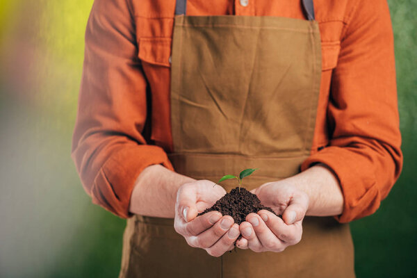 cropped view of man holding young green plant on blurred background, earth day concept