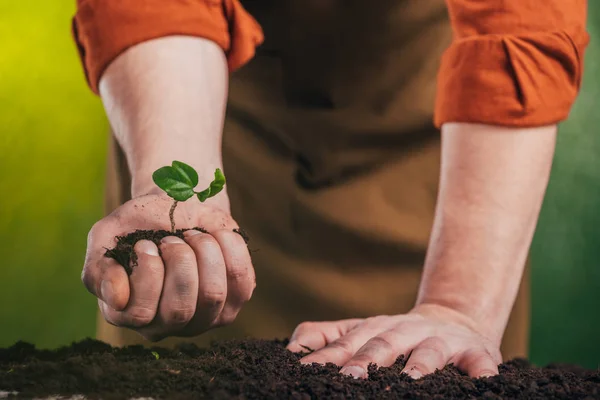 Selektivt Fokus Man Plantera Ung Grön Växt Marken Suddig Bakgrund — Stockfoto