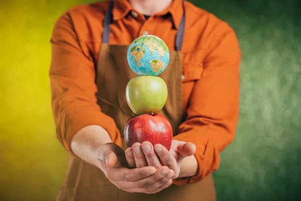 Enfoque Selectivo Del Hombre Que Sostiene Las Manzanas Modelo Del —  Fotos de Stock