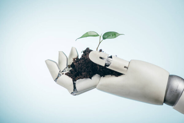 robotic hand with young green plant on bicolor background, earth day concept