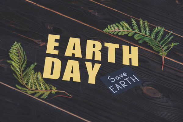 деревянный календарь с датой "22 апреля" и зеленый лист папоротника на светло-зеленом фоне
