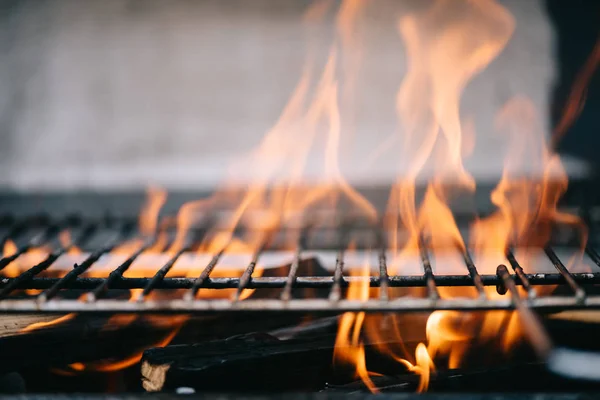 Brûler Bois Chauffage Avec Flamme Travers Les Grilles Barbecue — Photo