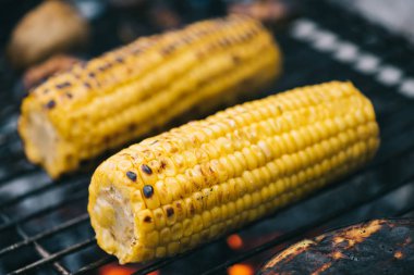 Barbekü ızgara üzerinde ızgara kabuk ile sarı Mısır seçici odak