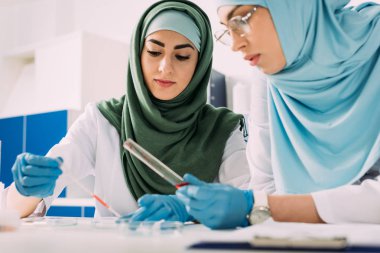 focused female muslim scientists holding pipette and glass test tube during experiment in chemical lab clipart