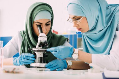 kadın Müslüman bilim adamları kimyasal laboratuvar deney sırasında mikroskop kullanarak hijab odaklı
