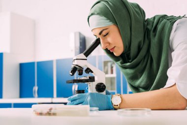 kimyasal laboratuvar deney sırasında mikroskop seyir konsantre kadın Müslüman bilim adamı