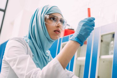 kadın Müslüman bilim adamı laboratuvarda test tüpü kırmızı sıvı ile tutarak gözlük yoğunlaştı