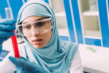 kadın Müslüman bilim adamı laboratuvarda test tüpü kırmızı sıvı ile tutarak gözlük yoğunlaştı