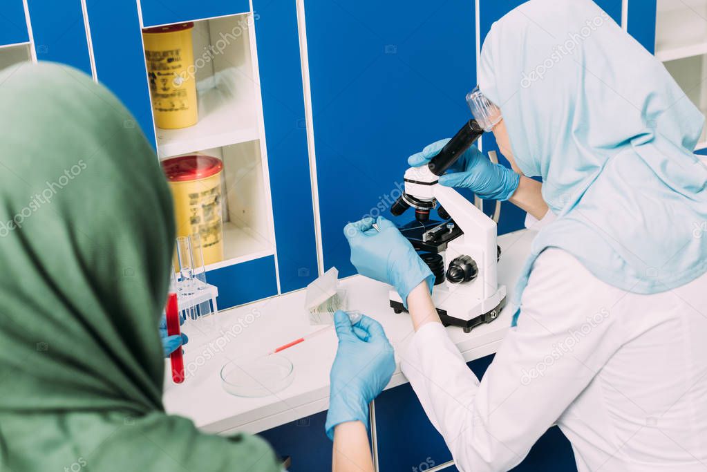 female muslim scientists with microscope, petri dish and pipette during experiment in chemical laboratory