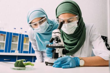 female muslim scientists using microscope during experiment with broccoli in chemical laboratory clipart