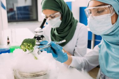 female muslim scientists experimenting with dry ice and broccoli in chemical laboratory clipart