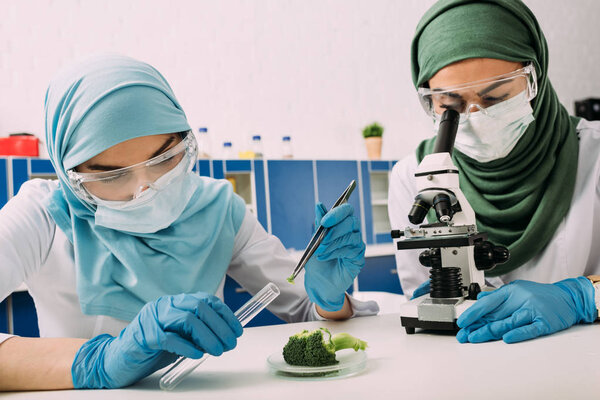 female muslim scientists looking through microscope and taking sample of broccoli during experiment in chemical laboratory