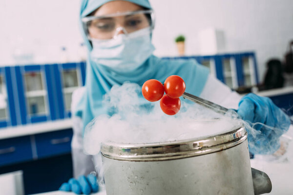 мусульманская ученая держит помидоры с пинцетом над горшком с сухим льдом во время эксперимента в лаборатории
