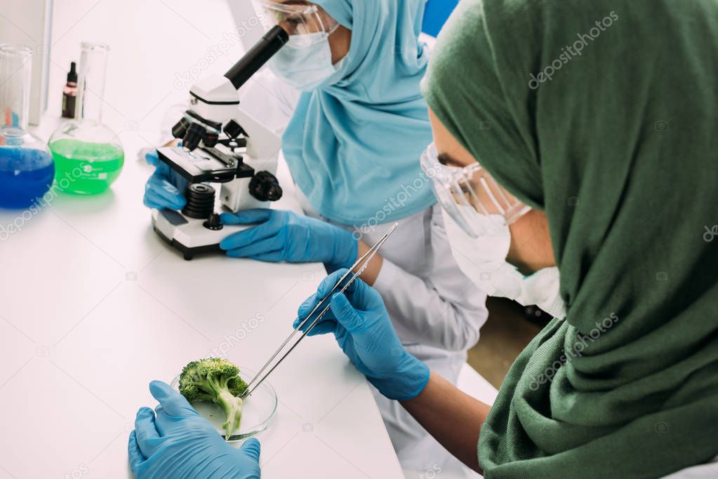 female muslim scientists looking through microscope and taking sample of broccoli during experiment in chemical laboratory