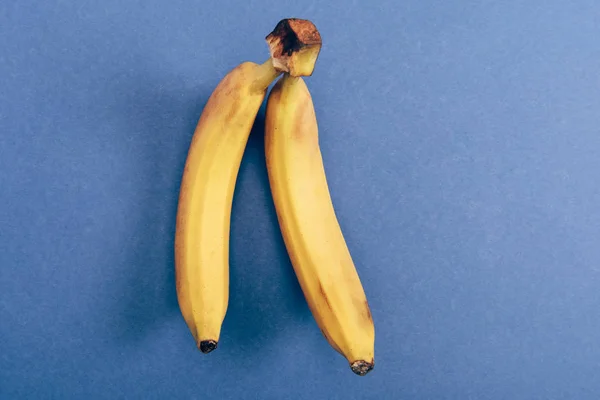 stock image Top view of two bright and fresh bananas on blue background