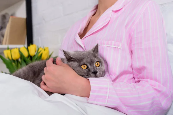 Cropped shot of woman with britain shorthair cat on bed at home — Stock Photo