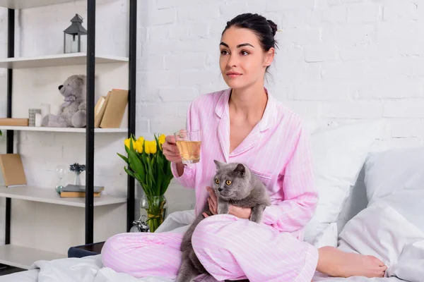 Donna con tazza di tè e gatto pantalone britannico che riposa sul letto a casa — Foto stock