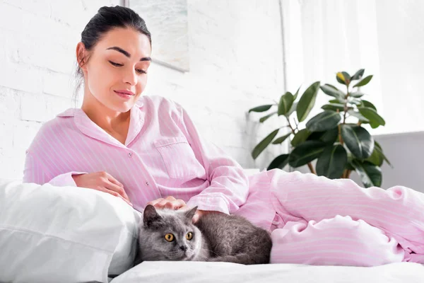 Smiling woman petting britain shorthair cat while lying on bed at home — Stock Photo