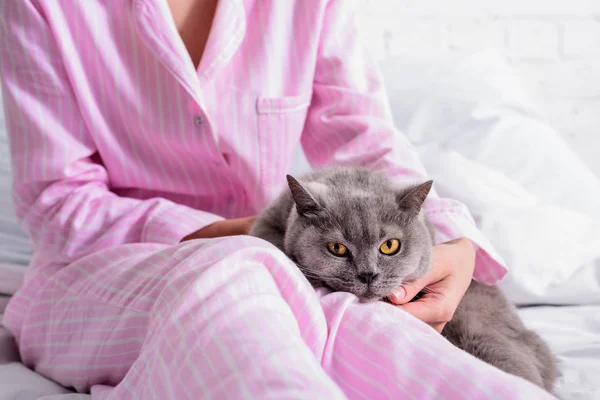 Cropped shot of woman with britain shorthair cat on bed at home — Stock Photo