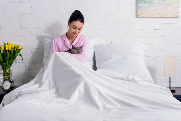 Sonriente mujer acariciando britain taquigrafía gato mientras descansando en cama en casa - foto de stock