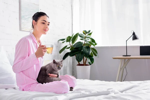 Vue latérale de la femme avec une tasse de thé et un chat à poil court britannique reposant sur le lit à la maison — Photo de stock