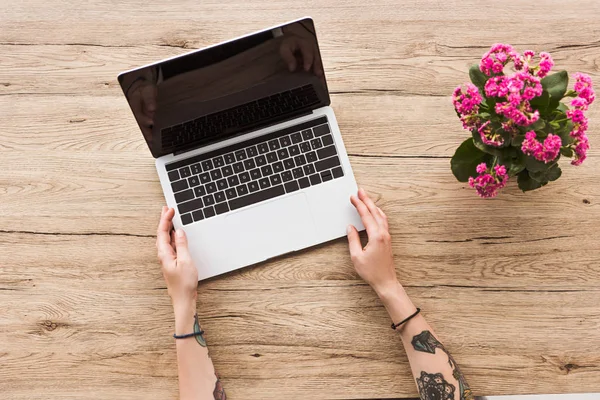 Vista parziale della donna al tavolo con computer portatile con schermo bianco e impianto kalanhoe in vaso da fiori — Foto stock