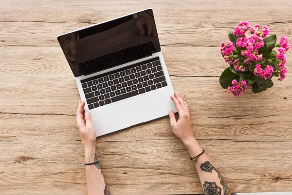 Partial view of woman at tabletop with laptop with blank screen and kalanhoe plant in flowerpot — Stock Photo