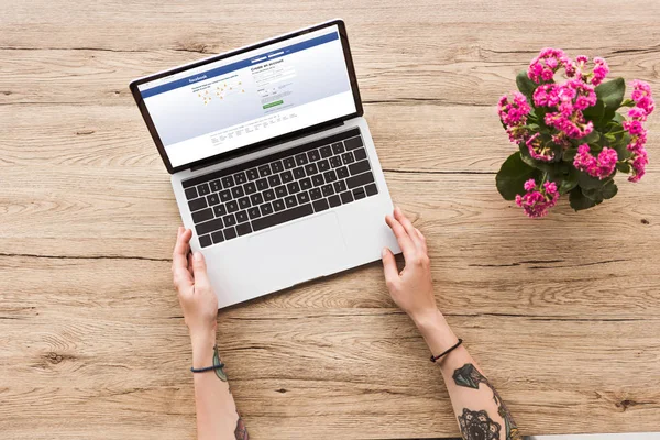 Vista parcial de la mujer en la mesa con el ordenador portátil con el sitio web de Facebook y la planta de kalanhoe en maceta - foto de stock