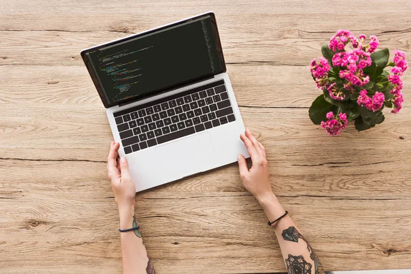 Partial view of woman at tabletop with laptop and kalanhoe plant in flowerpot — Stock Photo